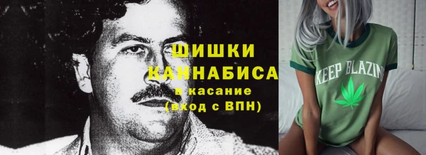 ГАЛЛЮЦИНОГЕННЫЕ ГРИБЫ Волоколамск