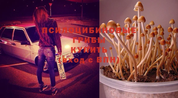 ГАЛЛЮЦИНОГЕННЫЕ ГРИБЫ Волоколамск