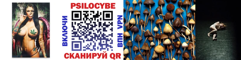 маркетплейс официальный сайт  Кашира  Галлюциногенные грибы Magic Shrooms 