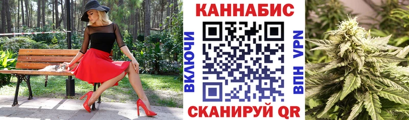 купить   Кашира  МАРИХУАНА сатива 